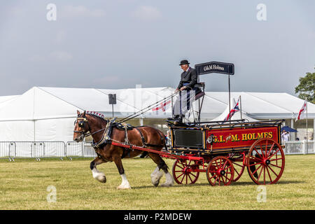 Les voitures à cheval et cours d'affichage et jugés au Royal Show 2017 à Cheshire Cheshire Show-sol Tabley Cheshire UK Banque D'Images