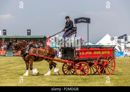 Les voitures à cheval et cours d'affichage et jugés au Royal Show 2017 à Cheshire Cheshire Show-sol Tabley Cheshire UK Banque D'Images