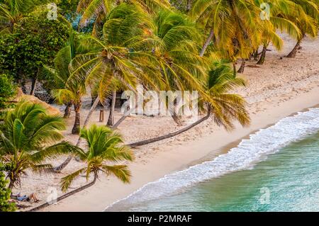 Caraïbes, Petites Antilles, Saint Vincent et les Grenadines, l'île de Mayreau, Salt Whistle Bay Beach et Coconut Grove Banque D'Images