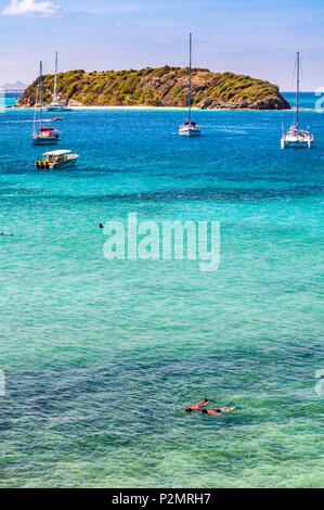 Caraïbes, Petites Antilles, Saint Vincent et les Grenadines, l'Île Baradal Jamesby vu de l'Île, Tobago Cays, la plongée dans le lagon Banque D'Images