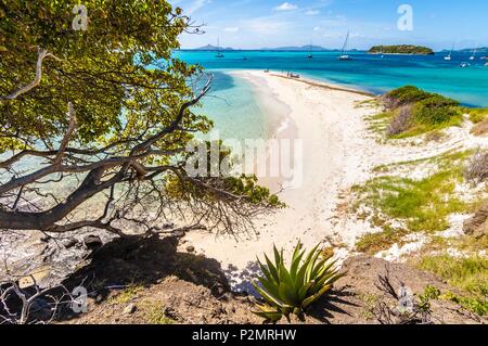 Caraïbes, Petites Antilles, Saint Vincent et les Grenadines, l'Île Baradal, navigation côtière à Tobago Cays Banque D'Images