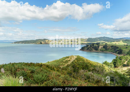 Scenic shot de la rive en Waitawa Regional Park, New Zealand Banque D'Images