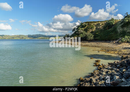 Scenic shot de beau vert de mer d'arbres, journée ensoleillée, Waitawa Regional Park, New Zealand Banque D'Images