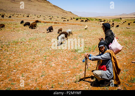 Bergers avec leur troupeau de chèvres et de moutons dans les montagnes de l'Atlas, Maroc Banque D'Images