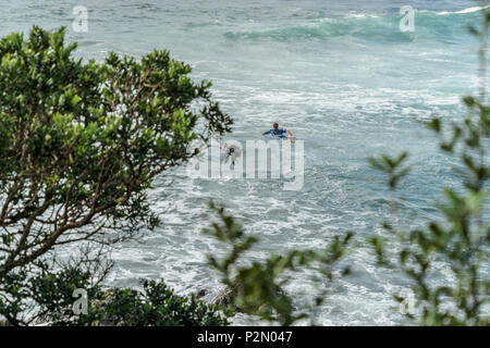 Vue aérienne de l'homme sur une planche de surf avec des arbres verts sur le premier plan, Leigh beach, New Zealand Banque D'Images