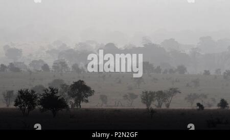 Kenya, Tsavo East National Park, une vue sur la savane dans la brume matinale Banque D'Images