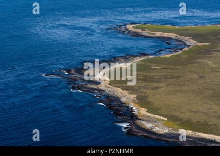 Îles Malouines, Une vue aérienne de l'île de Sea Lion Banque D'Images