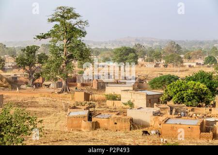 Le Burkina Faso, région Centre-Sud, province du Nahouri, Tiebele, maisons traditionnelles de boue Banque D'Images
