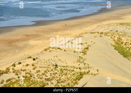 France, Charente Maritime, la Côte Sauvage, la pointe de la Coubre, La Tremblade, la plage de la Côte Sauvage, près du phare de la Coubre Banque D'Images