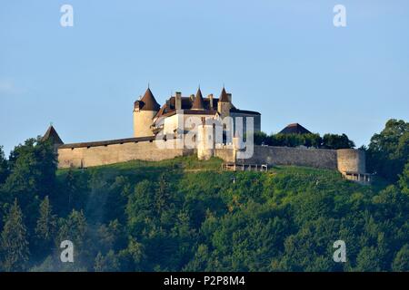 La Suisse, Canton de Fribourg, Gruyères, cité médiévale, le château Banque D'Images