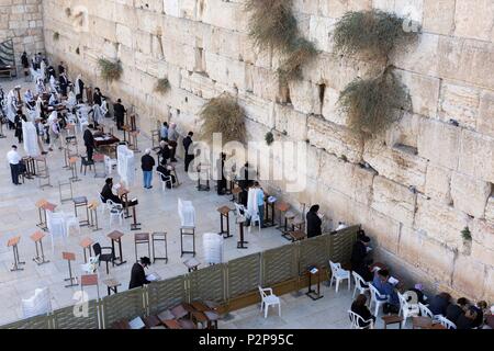 Israël, Jérusalem, la vieille ville au patrimoine mondial de l'UNESCO, le Mur Occidental ou Mur des lamentations, les hommes et les femmes dans la prière, la prière des espaces pour les hommes (ci-dessus) et les femmes, séparés par une palissade Banque D'Images