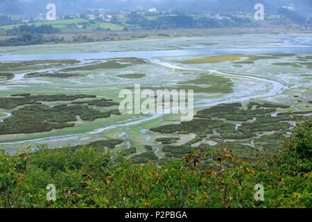 Espagne, Pays Basque, Vizcaya, l'estuaire d'Urdaibai, Busturialdea-Urdaibai, Réserve de biosphère de l'UNESCO, Gautegiz Arteaga, rivière Oka Banque D'Images