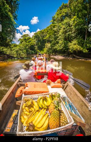 France, Guyane, Kourou, Camp Canopee, navigation sur le fleuve de Kourou dans une pirogue traditionnelle au Camp Canopee Banque D'Images