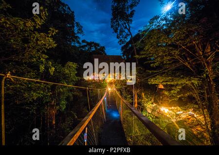 France, Guyane, Kourou, Camp Canopee, pont suspendu à 10 m du sol entre deux huttes de repos avec des hamacs, vision de nuit au clair de lune Banque D'Images