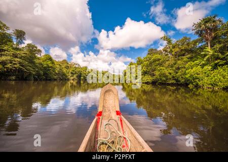France, Guyane, Kourou, Camp Canopee, navigation sur le fleuve de Kourou dans une pirogue traditionnelle au Camp Canopee Banque D'Images