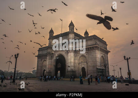 MUMBAI, INDE - Le 14 janvier 2017 - personnes non identifiées à pied et les pigeons voler autour de la porte de l'Inde Banque D'Images