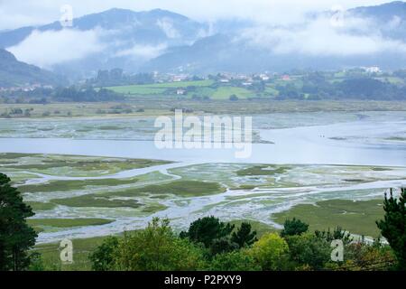 Espagne, Pays Basque, Vizcaya, l'estuaire d'Urdaibai, Busturialdea-Urdaibai, Réserve de biosphère de l'UNESCO, Gautegiz Arteaga, rivière Oka Banque D'Images