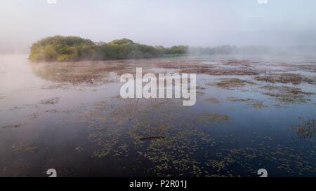 France, Morbihan, La Gacilly, Glenac marsh, paysages aériens des marais Banque D'Images