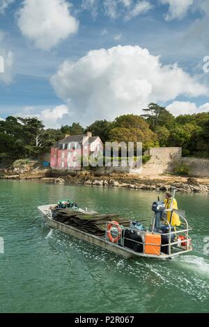 France, Morbihan, Sene, ostreiculteur en face de la maison rose de Sene Banque D'Images