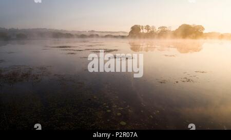 France, Morbihan, La Gacilly, Glenac marsh, paysages aériens des marais Banque D'Images