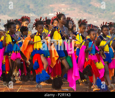 Défilé de filles swazi à Umhlanga (Reed Dance Festival), au Swaziland Banque D'Images