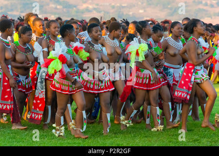 Défilé de filles swazi à Umhlanga (Reed Dance Festival), au Swaziland Banque D'Images