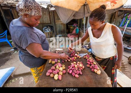 Le Burkina Faso, région Centre-Sud, la ville de Po, pays de l'ethnie Kasséna, vente de noix de cola au marché Banque D'Images