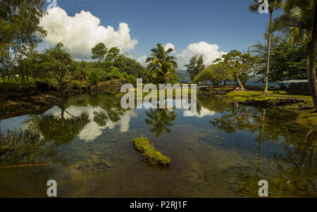 Pahoa, Hawaii, USA. 6 juin, 2018. La plage Hilo Bayfront Park est entouré de végétation luxuriante, comme le Kilauea Volcano zone de rift est inférieure continue l'éruption le mercredi, Juin 6, 2018, dans Pahoa, Hawaii. Credit : L.E. Baskow/ZUMA/Alamy Fil Live News Banque D'Images