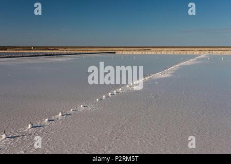 Madagascar, région de Menabe, Belo sur Mer, le Canal de Mozambique, les marais salants Banque D'Images