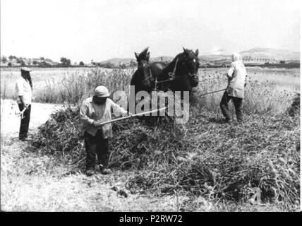 . Agricoltura Biologica . avant 1950. Inconnu 4 agricoltura biologica.001 Banque D'Images
