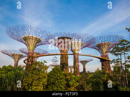 Singapour - une petite et bondée ville/état d'Asie du sud-est, célèbre pour son architecture moderne, comme les jardins de la baie dans l'image Banque D'Images