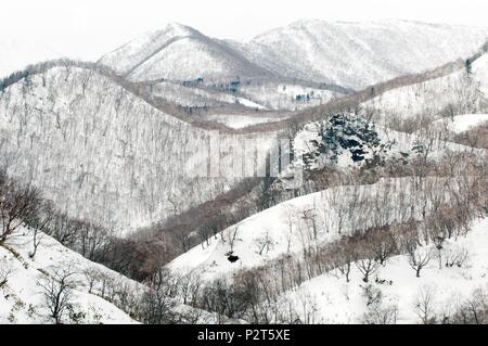 Le Japon, Hokkaido, Rausu, montagne en hiver Banque D'Images