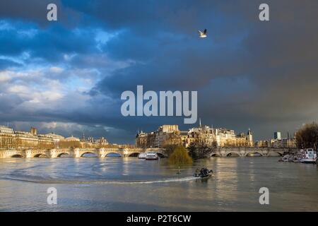 France, Paris, les rives de la rivière Seine inscrite au Patrimoine Mondial de l'UNESCO, une inondation de la Seine (janvier 2018), panorama de la passerelle des arts, vue sur l'île de la Cité et Pont Neuf Banque D'Images