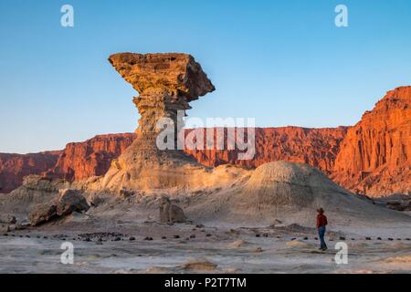 L'Argentine, la Province de San Juan, près de San Augustin de Valle Fertil, Valle de la Luna, la vallée de la Lune, Parque Ischigualasto inscrite au Patrimoine Mondial de l'UNESCO, Pillar Rock, Hongo Banque D'Images