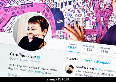 Caroline Lucas MP Twitter page (2018) Banque D'Images