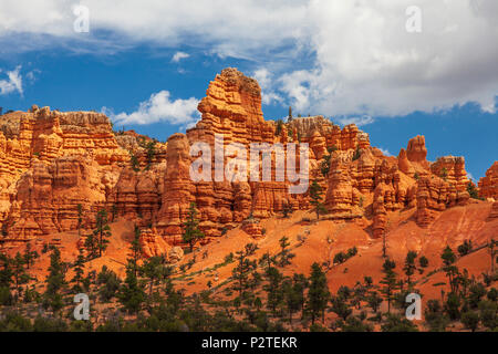 Red Rock Canyon sur la pittoresque route 12 dans la forêt nationale de Dixie, dans l'Utah. Ce canyon est à quelques kilomètres seulement de l'entrée du parc national de Bryce Canyon. Banque D'Images