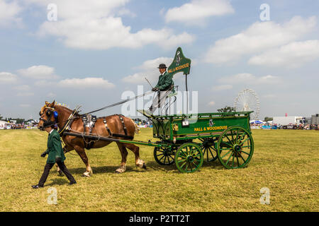 Les voitures à cheval et cours d'affichage et jugés au Royal Show 2017 à Cheshire Cheshire Show-sol Tabley Cheshire UK Banque D'Images