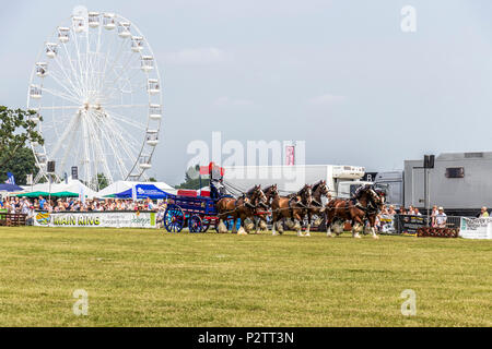 Les voitures à cheval et cours d'affichage et jugés au Royal Show 2017 à Cheshire Cheshire Show-sol Tabley Cheshire UK Banque D'Images