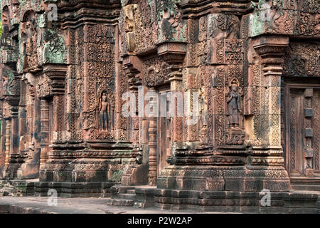 Angkor Cambodge, orné de sculptures avec apsaras sur les murs à la 10e siècle temple de Banteay Srei Banque D'Images