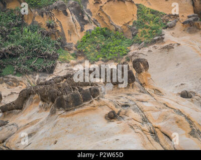 La mer, les roches spécial bougies dans Yehliu Geopark à nouveau Taipei, Taiwan Banque D'Images