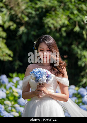 Taipei, 4 juin : Belle robe femme en blanc debout dans Hydrangea macrophylla blossom le 4 juin 2018 à Taipei, Taïwan Banque D'Images