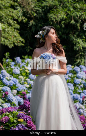 Taipei, 4 juin : Belle robe femme en blanc debout dans Hydrangea macrophylla blossom le 4 juin 2018 à Taipei, Taïwan Banque D'Images