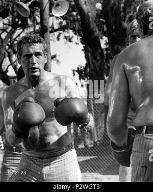 Titre original : Cool Hand Luke. Titre en anglais : Cool Hand Luke. Directeur de film : STUART ROSENBERG. Année : 1967. Stars : Paul Newman. Credit : Warner Brothers / Album Banque D'Images