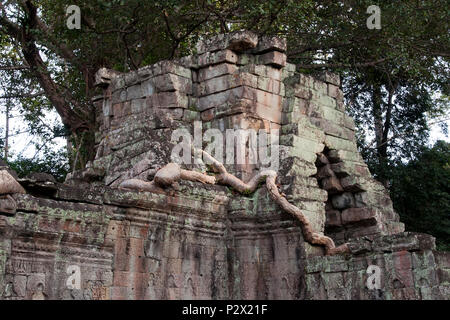 Angkor Cambodge, reste d'une tour sur le nord de l'entrée avec spung racine d'arbre lors de la 12e siècle Preah Khan temple Banque D'Images