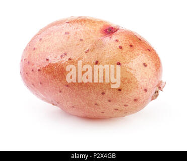 La pomme de terre d'un jeune isolé sur fond blanc Banque D'Images