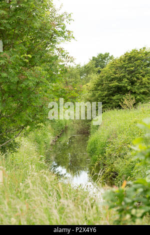 À l'aval à la rivière Keer près de Borwick dans le Lancashire vu du dessous du pont Haut Keer. La rivière Keer est une petite rivière que pour une partie de l'i Banque D'Images