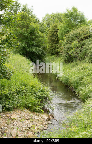 À l'aval à la rivière Keer près de Borwick dans le Lancashire vu du pont Haut Keer. La rivière Keer est une petite rivière que pour une partie de son cou Banque D'Images