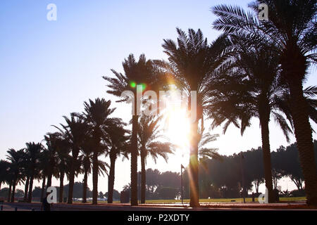 Musée des Arts Islamiques, Westbay, Doha, Qatar Banque D'Images