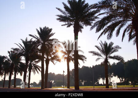 Musée des Arts Islamiques, Westbay, Doha, Qatar Banque D'Images