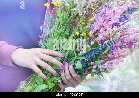 La jeune fille tient un bouquet de belles fleurs sauvages et d'autres. marguerites Lupin Close up. Banque D'Images